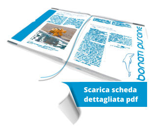 Scarica scheda  dettagliata pdf